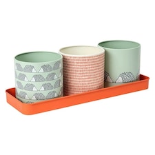 Scion Living Spike Set of 3 Herb Pots Sage