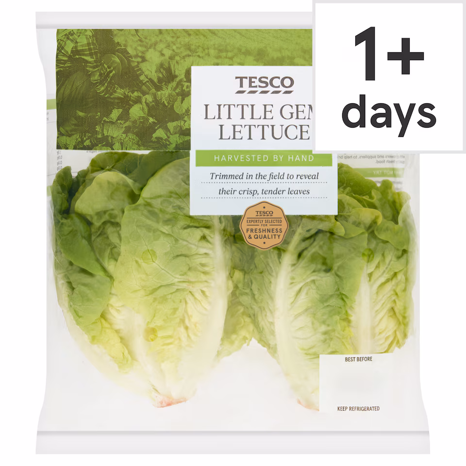 Tesco Little Gem Lettuce Twin Pack